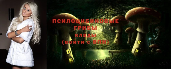 PSILOCYBIN Протвино