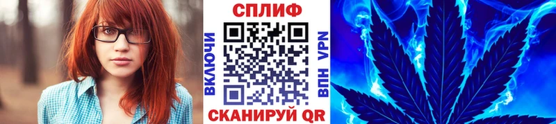 Шишки марихуана марихуана  закладка  Старица 